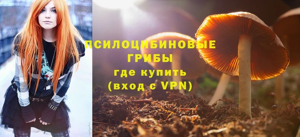 прущая мука Богородицк