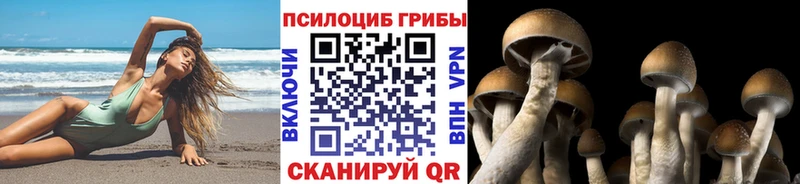 Псилоцибиновые грибы Psilocybe  Козельск 